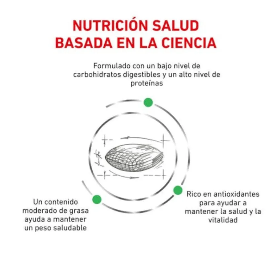 Royal Canin Veterinary Diabetic pienso para gatos