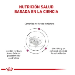 Royal Canin Veterinary Early Renal pienso para gatos Best