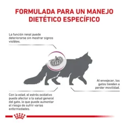 Royal Canin Veterinary Early Renal pienso para gatos Best