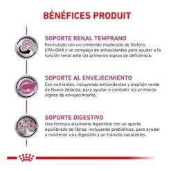 Royal Canin Veterinary Early Renal pienso para gatos Best