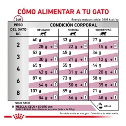 Royal Canin Veterinary Early Renal pienso para gatos Best