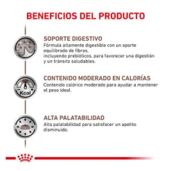 Royal Canin Veterinary Gastrointestinal Moderate Calorie sobre para gatos Online