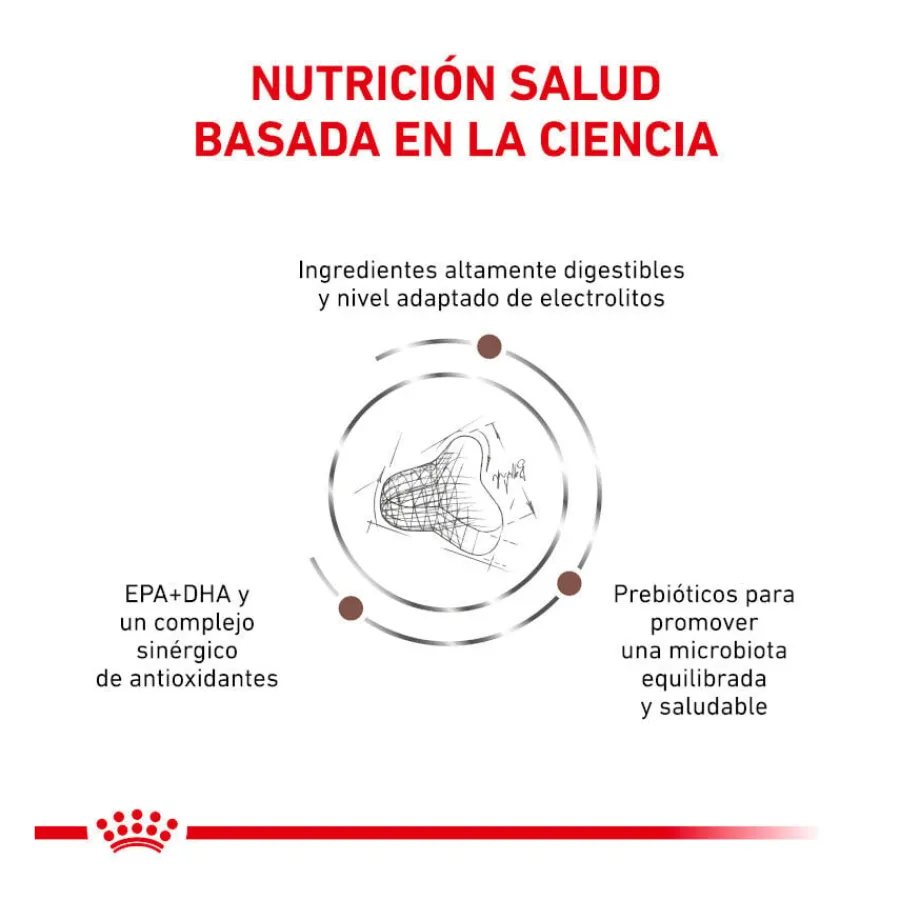 Royal Canin Veterinary Gastrointestinal Fibre Response pienso para gatos Sale