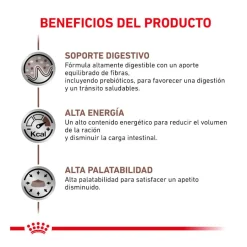Royal Canin Veterinary Gastrointestinal sobre en salsa para gatos Online