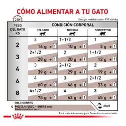 Royal Canin Veterinary Gastrointestinal sobre en salsa para gatos Online