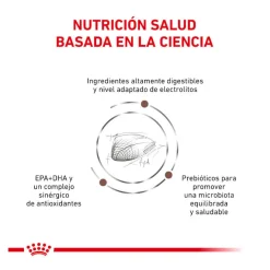Royal Canin Veterinary Gastrointestinal pienso para gatos Sale