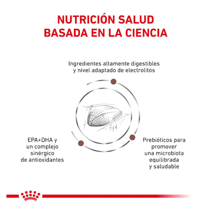 Royal Canin Veterinary Gastrointestinal pienso para gatos Sale