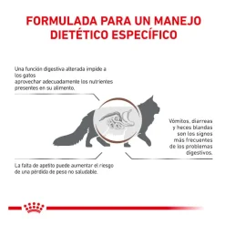 Royal Canin Veterinary Gastrointestinal pienso para gatos Sale