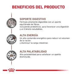 Royal Canin Veterinary Gastrointestinal pienso para gatos Sale