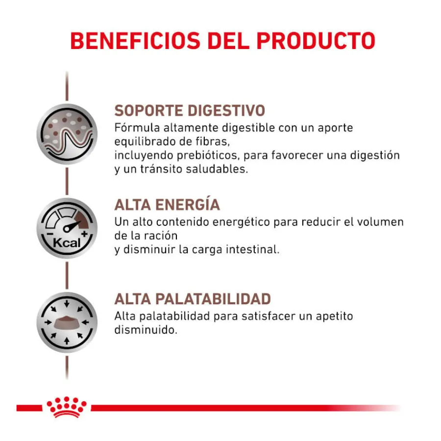 Royal Canin Veterinary Gastrointestinal pienso para gatos Sale