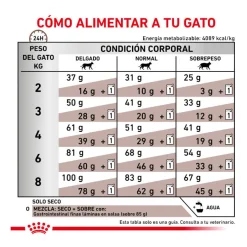 Royal Canin Veterinary Gastrointestinal pienso para gatos Sale