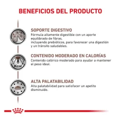 Royal Canin Veterinary Gastrointestinal Moderate Calorie pienso para gatos