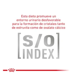 Royal Canin Veterinary Gastrointestinal Moderate Calorie pienso para gatos