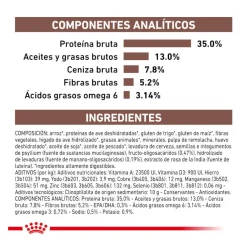 Royal Canin Veterinary Gastrointestinal Moderate Calorie pienso para gatos
