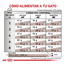 Royal Canin Veterinary Gastrointestinal Moderate Calorie pienso para gatos