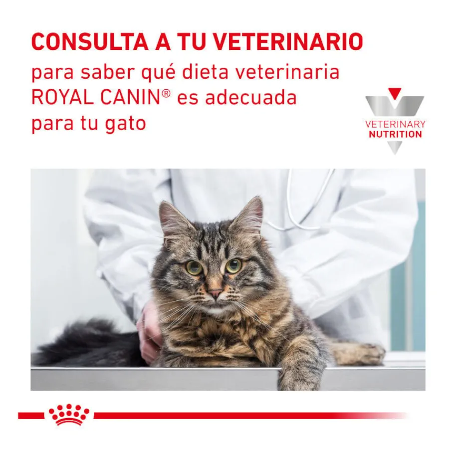Royal Canin Veterinary Gastrointestinal Moderate Calorie pienso para gatos