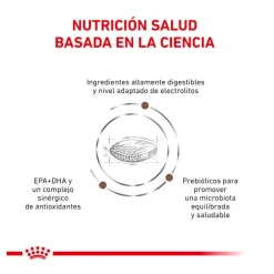 Royal Canin Veterinary Gastrointestinal Hairball pienso para gatos Hot