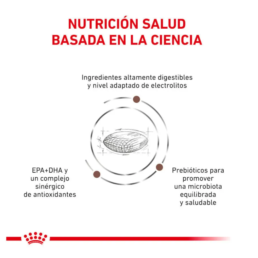 Royal Canin Veterinary Gastrointestinal Hairball pienso para gatos Hot