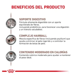 Royal Canin Veterinary Gastrointestinal Hairball pienso para gatos Hot