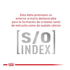 Royal Canin Veterinary Gastrointestinal Hairball pienso para gatos Hot