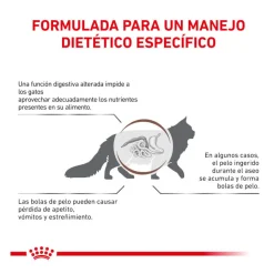 Royal Canin Veterinary Gastrointestinal Hairball pienso para gatos Hot