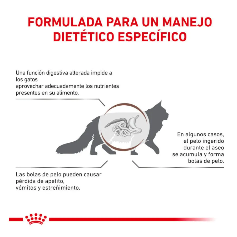 Royal Canin Veterinary Gastrointestinal Hairball pienso para gatos Hot