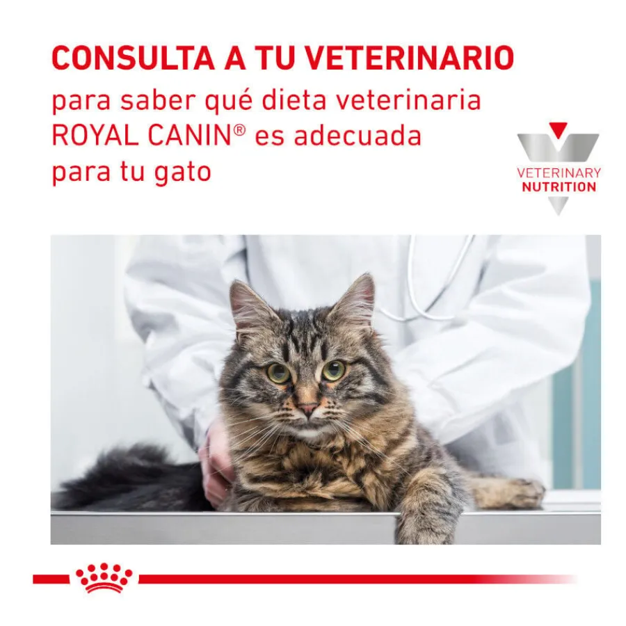 Royal Canin Veterinary Gastrointestinal Hairball pienso para gatos Hot