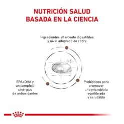 Royal Canin Veterinary Hepatic pienso para gatos Best