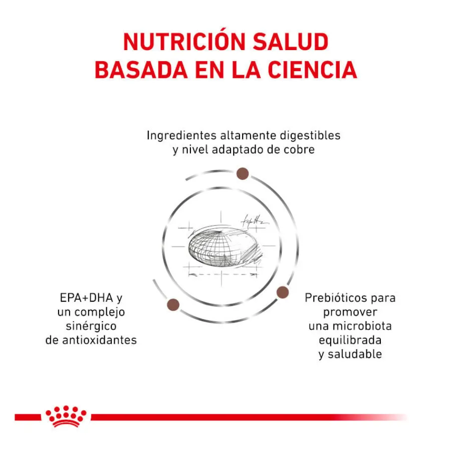 Royal Canin Veterinary Hepatic pienso para gatos Best