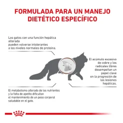 Royal Canin Veterinary Hepatic pienso para gatos Best