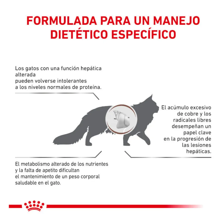 Royal Canin Veterinary Hepatic pienso para gatos Best