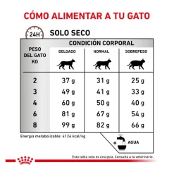 Royal Canin Veterinary Hepatic pienso para gatos Best