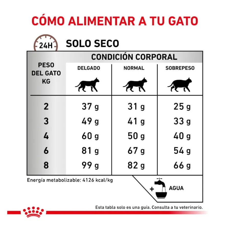 Royal Canin Veterinary Hepatic pienso para gatos Best