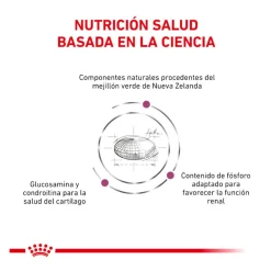 Royal Canin Veterinary Mobility pienso para gatos Hot