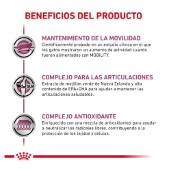 Royal Canin Veterinary Mobility pienso para gatos Hot