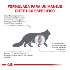 Royal Canin Veterinary Mobility pienso para gatos Hot