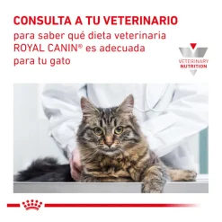 Royal Canin Veterinary Mobility pienso para gatos Hot