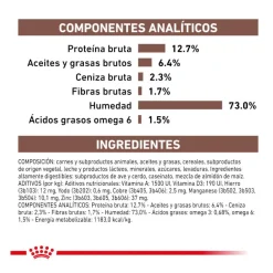 Royal Canin Veterinary Recovery lata para perros y gatos Discount