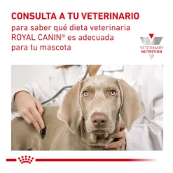 Royal Canin Veterinary Recovery lata para perros y gatos Discount