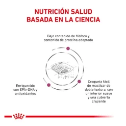 Royal Canin Veterinary Renal Select pienso para gatos Best
