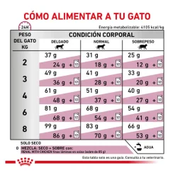 Royal Canin Veterinary Renal Select pienso para gatos Best