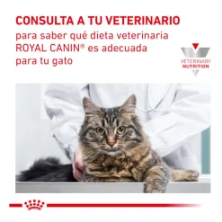 Royal Canin Veterinary Renal Select pienso para gatos Best