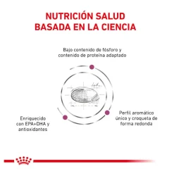 Royal Canin Veterinary Renal pienso para gatos Best