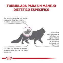 Royal Canin Veterinary Renal pienso para gatos Best