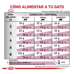 Royal Canin Veterinary Renal pienso para gatos Best