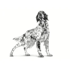 Royal Canin Veterinary Sensitivity Control Pato y Arroz lata para perros Hot