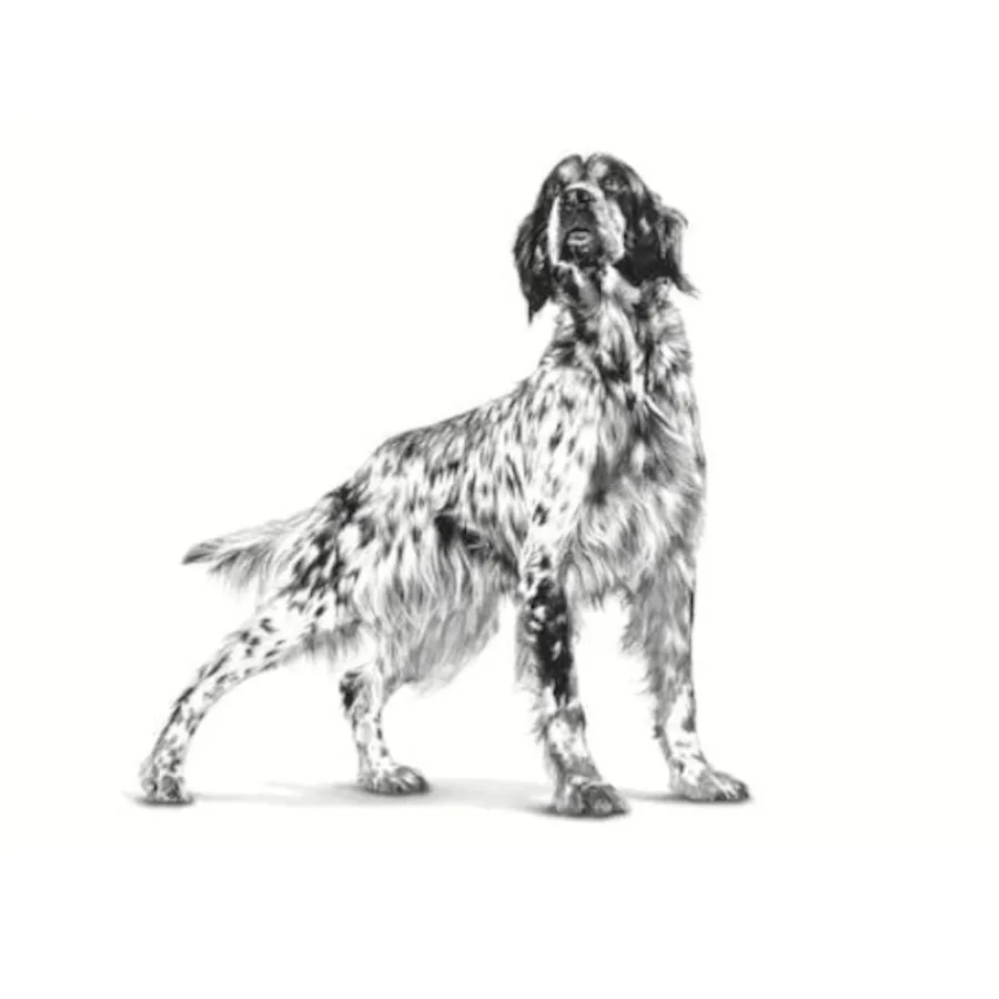 Royal Canin Veterinary Sensitivity Control Pato y Arroz lata para perros Hot