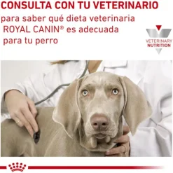 Royal Canin Veterinary Sensitivity Control Mousse de Pollo y Arroz lata para perros Sale