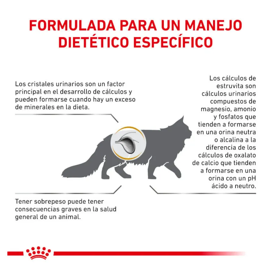 Royal Canin Veterinary Urinary Moderate Calorie pienso para gatos