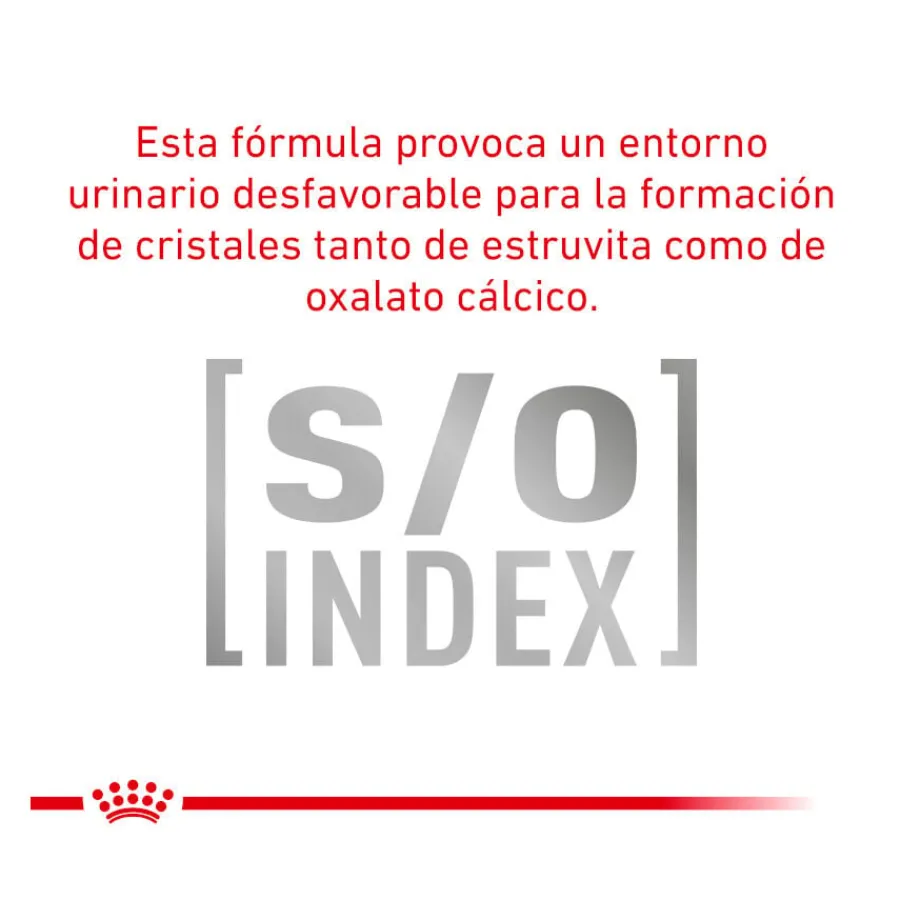 Royal Canin Veterinary Urinary Moderate Calorie pienso para gatos